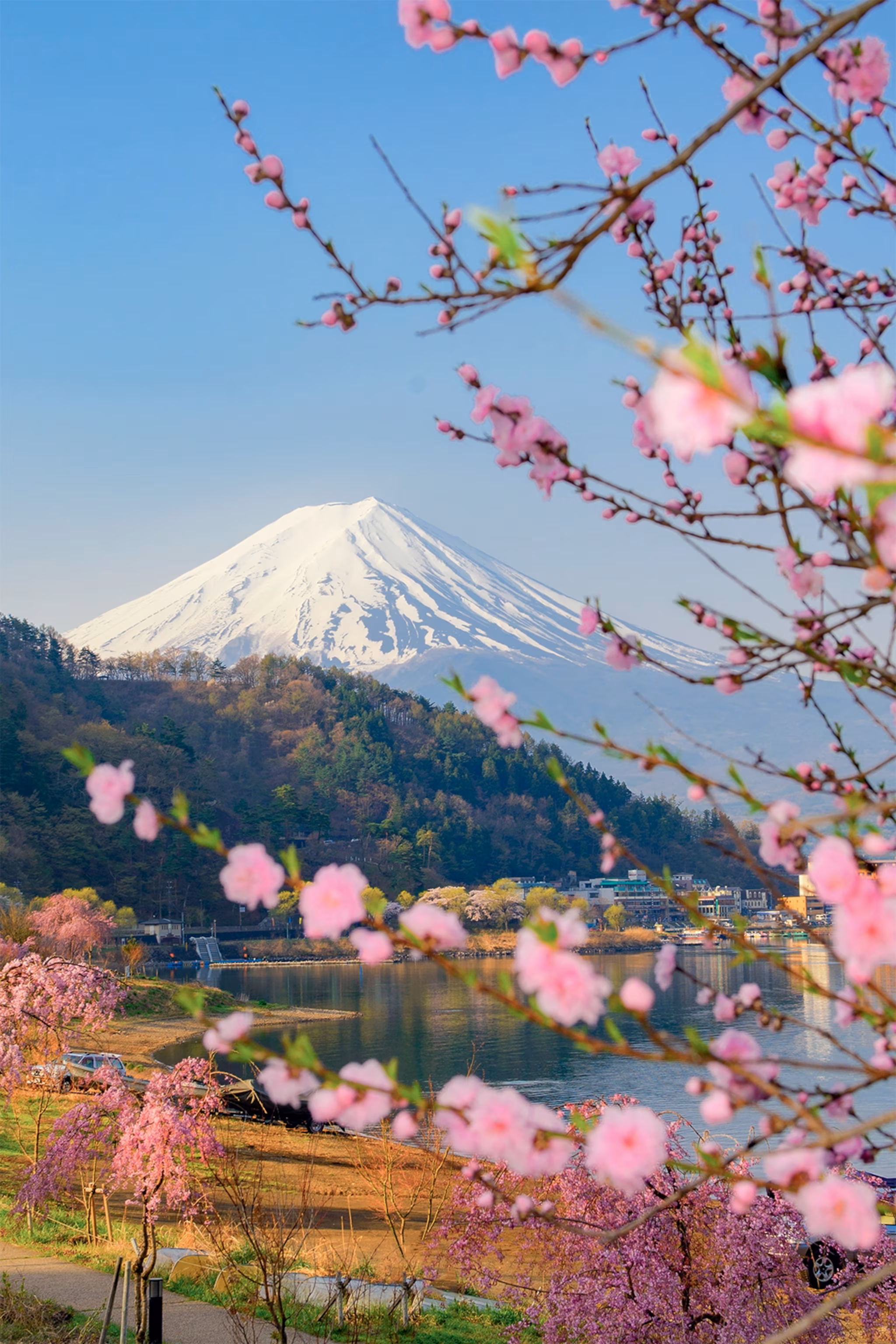 Japan