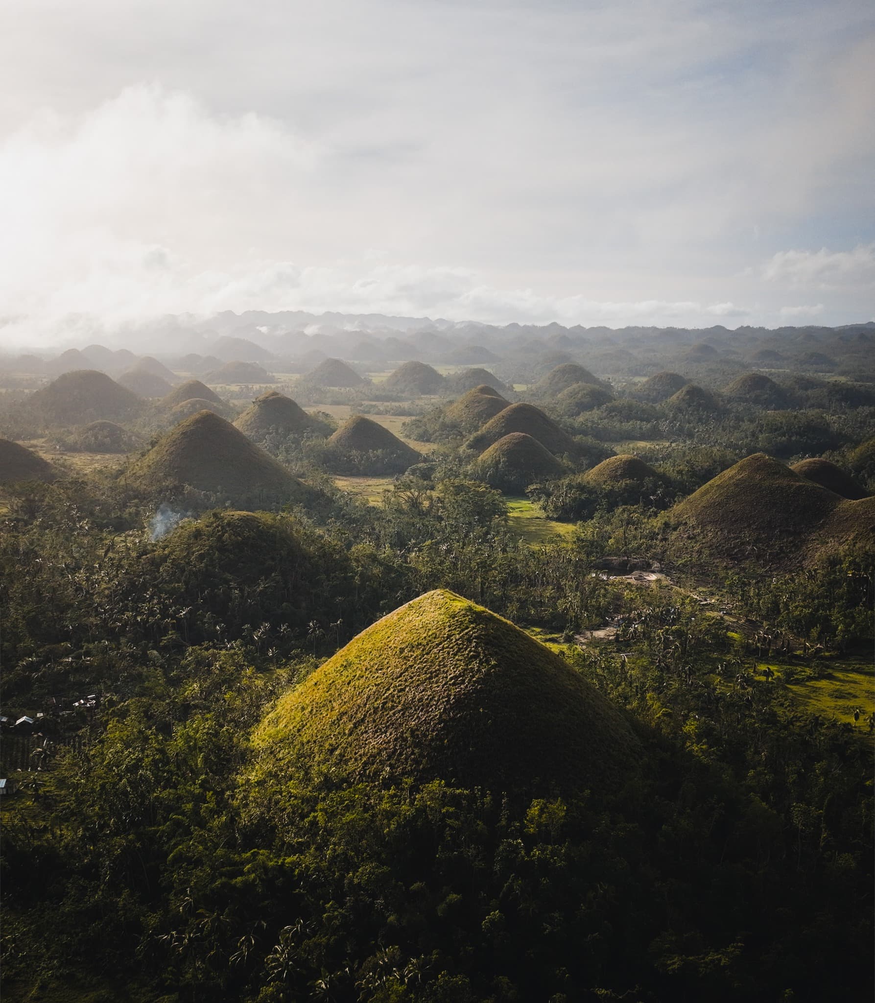 Bohol